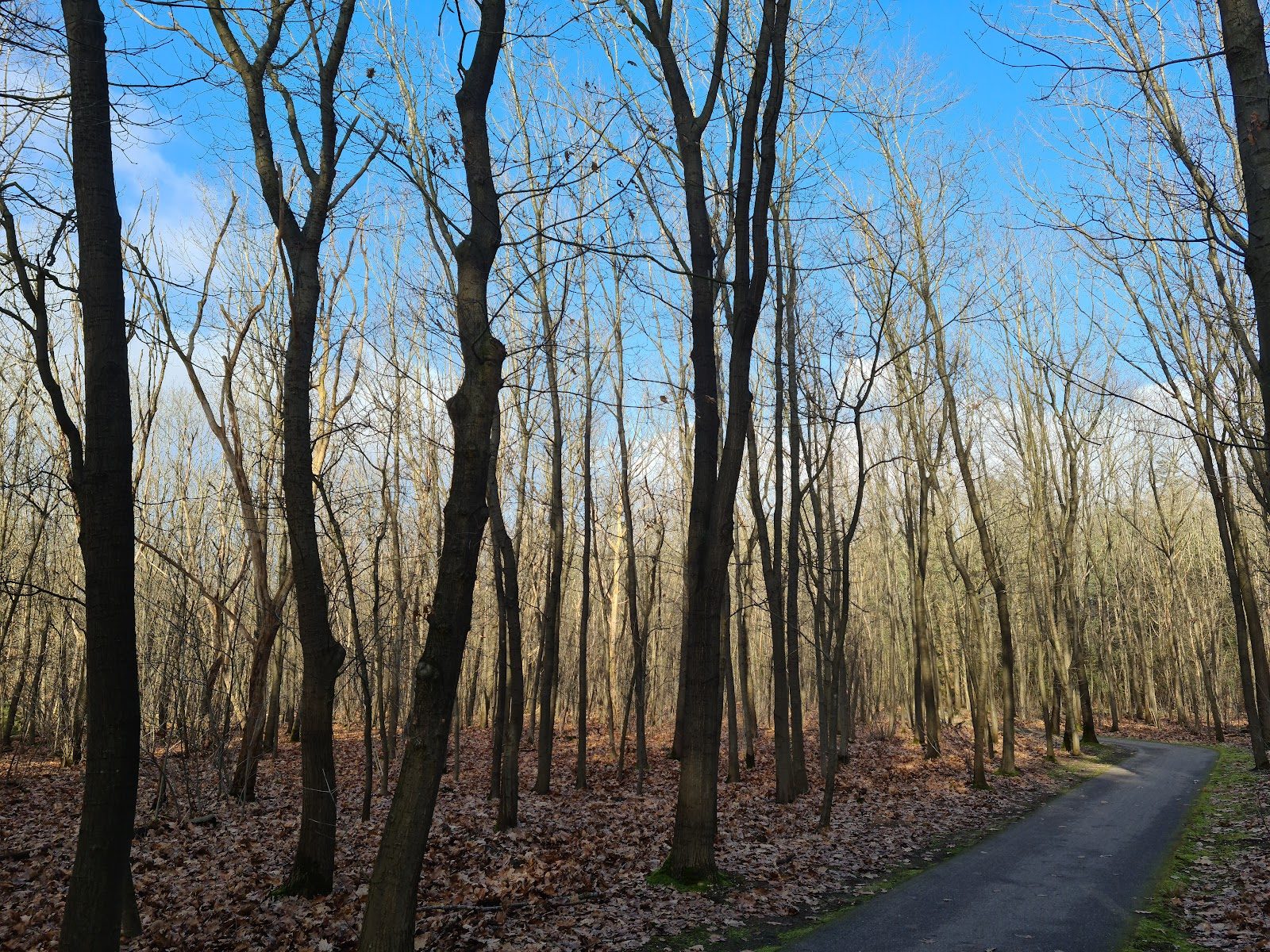 MTB-route Uden, Maashorst — foto 1