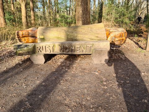 MTB-route Uden, Maashorst — foto 2