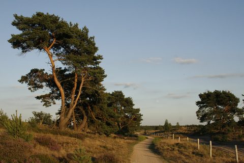 Foto van de route Valkenswaard