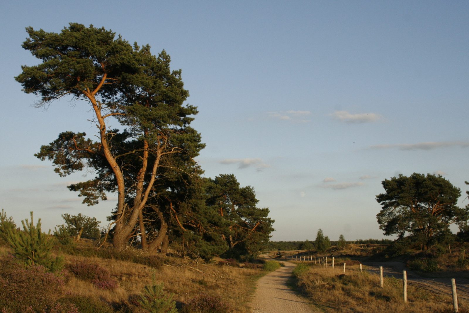 MTB-route Valkenswaard, Noord-Brabant — foto 1