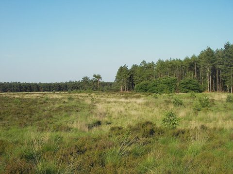MTB-route Valkenswaard, Noord-Brabant — foto 2