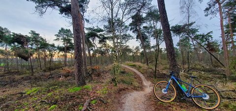 MTB-route Vlierden, Noord-Brabant — foto 3