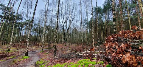 MTB-route Vlierden, Noord-Brabant — foto 4