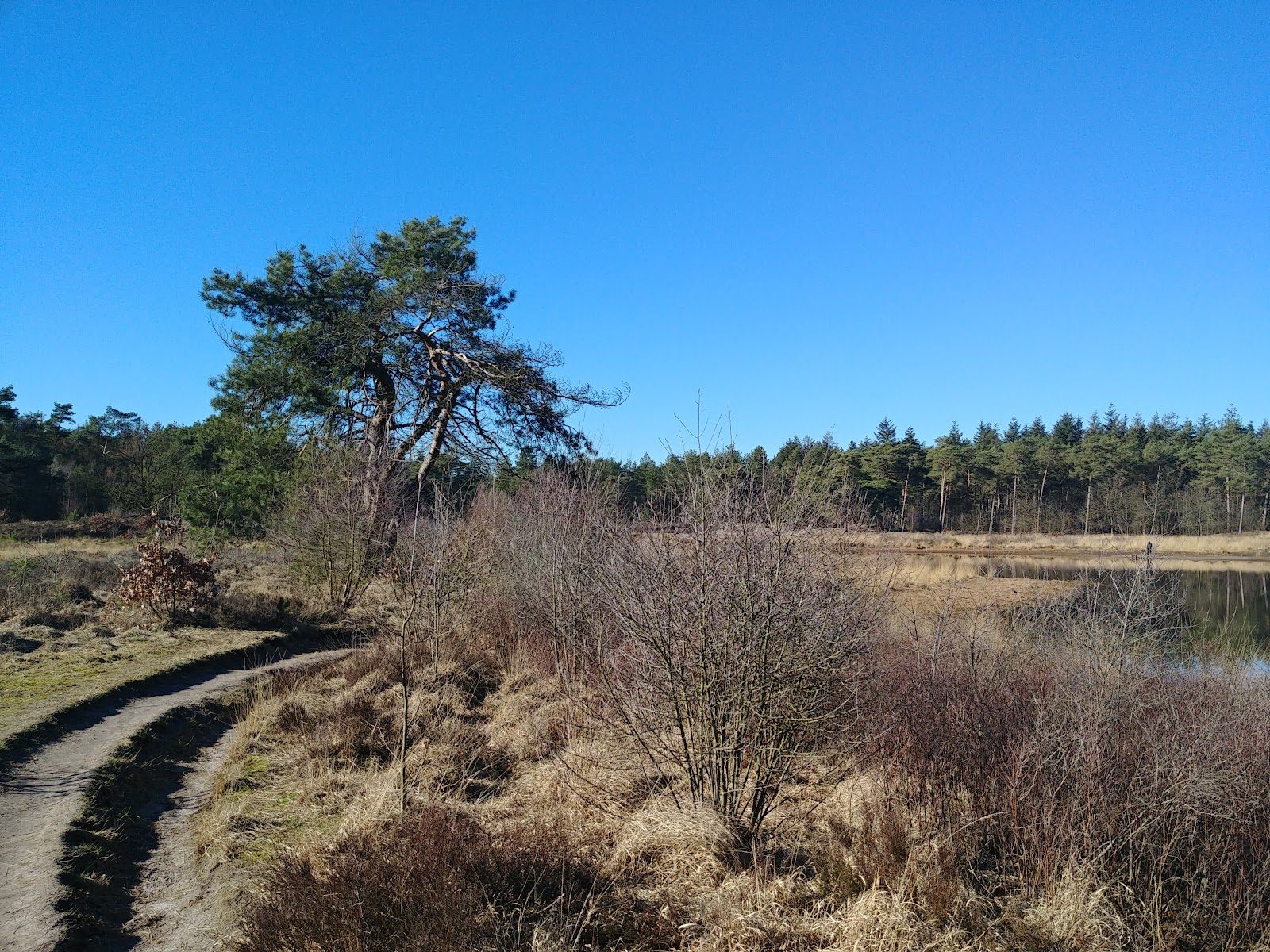 MTB-route Waalre, Noord-Brabant — foto 1
