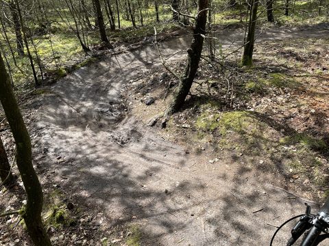 MTB-route Waalre, Noord-Brabant — foto 3