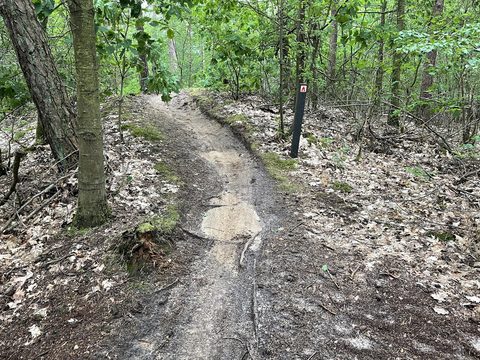 MTB-route Waalre, Noord-Brabant — foto 4