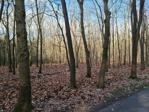 MTB-route Zeeland, Maashorst — foto 3