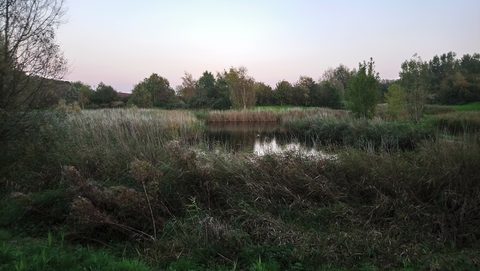 MTB-route Enkhuizen, Noord-Holland — foto 2