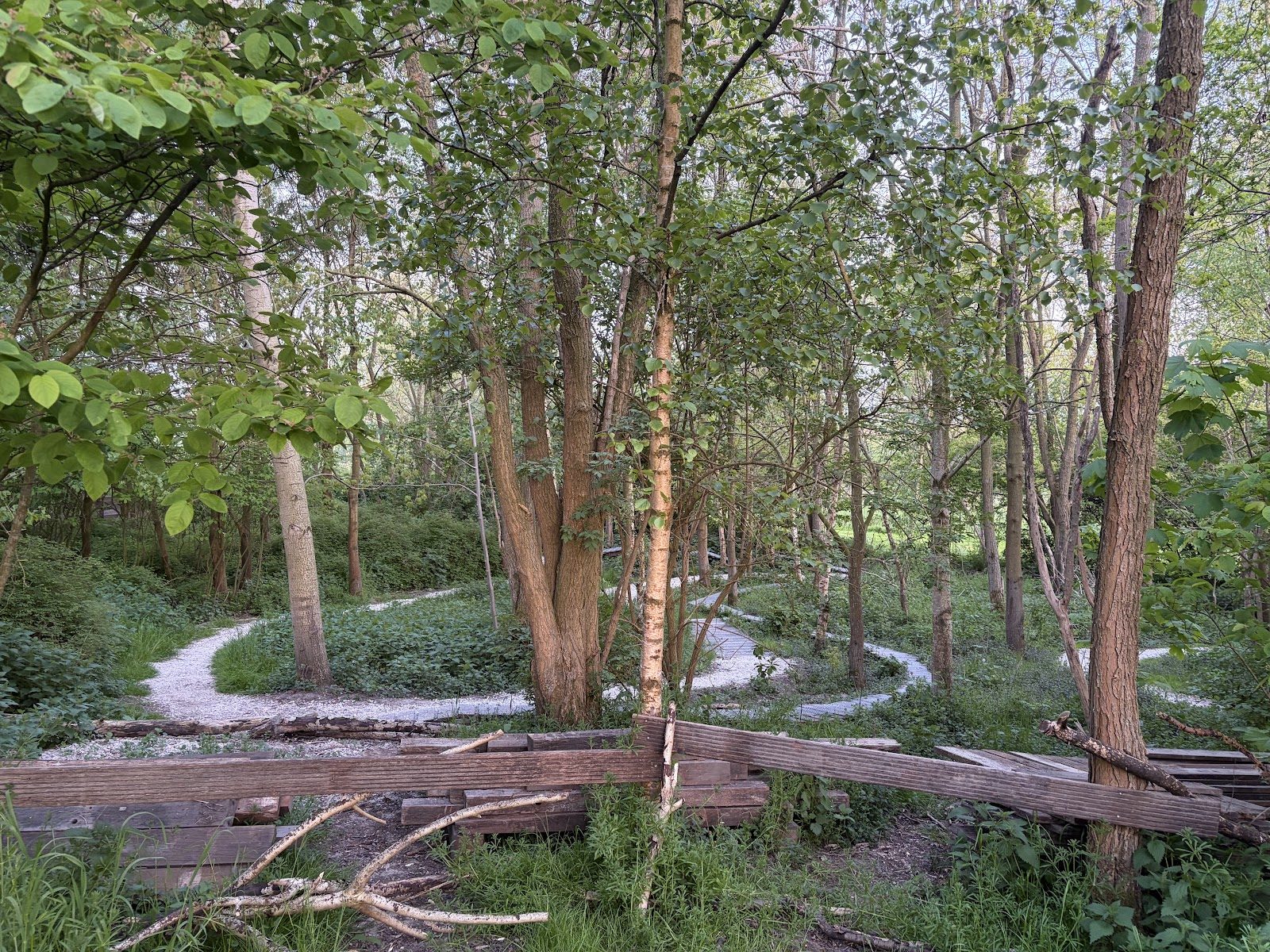 MTB-route Heerhugowaard, Noord-Holland — foto 1