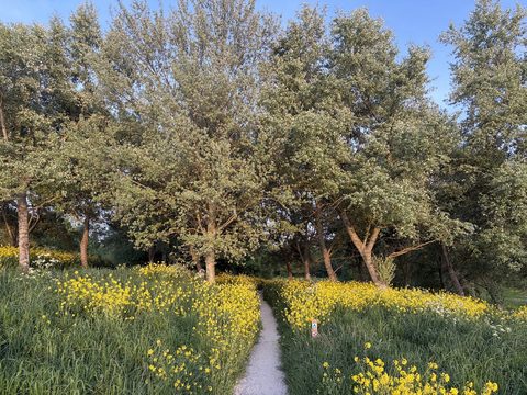 MTB-route Heerhugowaard, Noord-Holland — foto 2