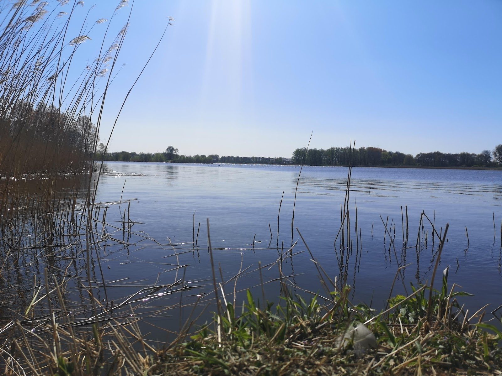 MTB-route Noord - Scharwoude, Noord-Holland — foto 1