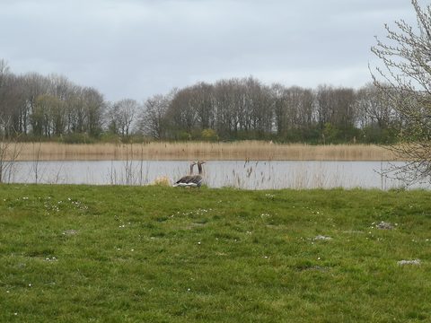 MTB-route Noord - Scharwoude, Noord-Holland — foto 2