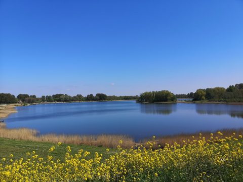 MTB-route Noord - Scharwoude, Noord-Holland — foto 4