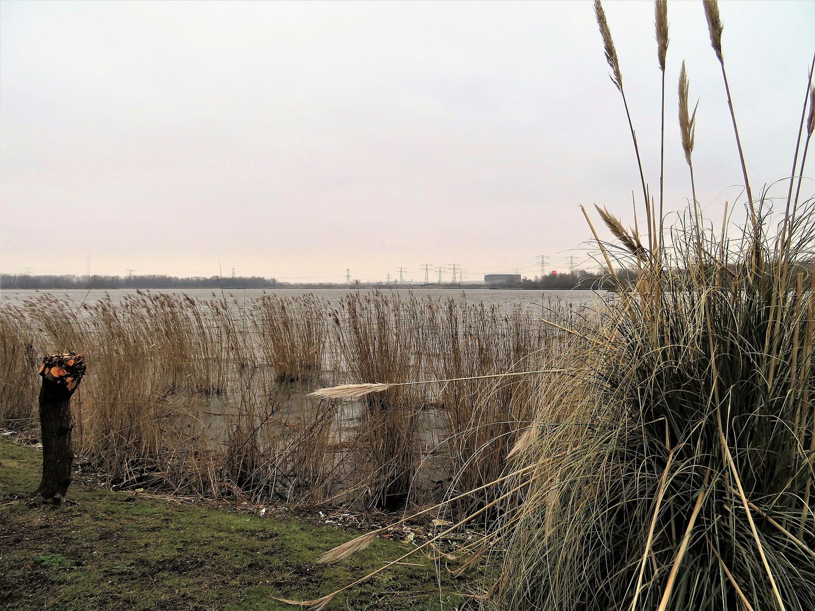 MTB-route NoorderIJplas, Noord-Holland — foto 1
