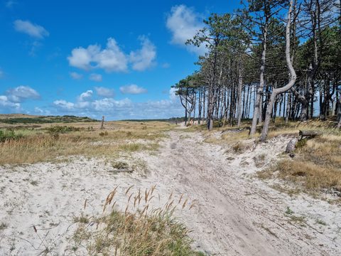 Foto van de route Schoorl (Noord)