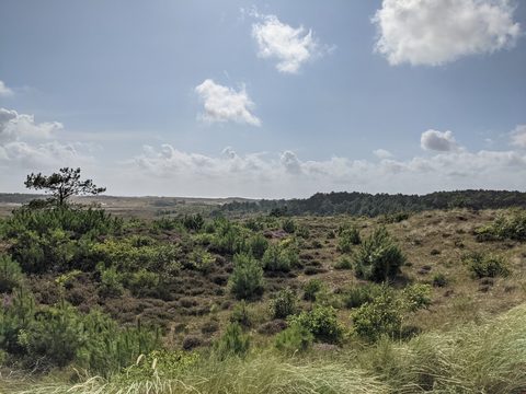 MTB-route Schoorl (Zuid), Schoorlse Duinen — foto 2