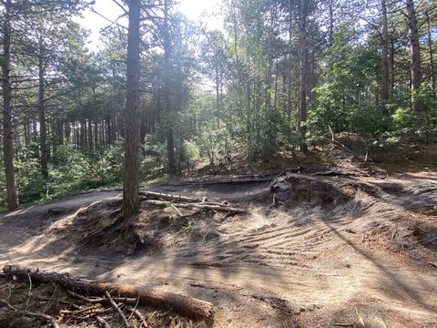 MTB-route Schoorl (Zuid), Schoorlse Duinen — foto 4