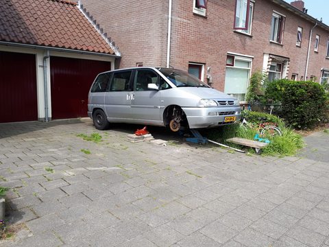 MTB-route Texel (Den Burg), Texel — foto 3