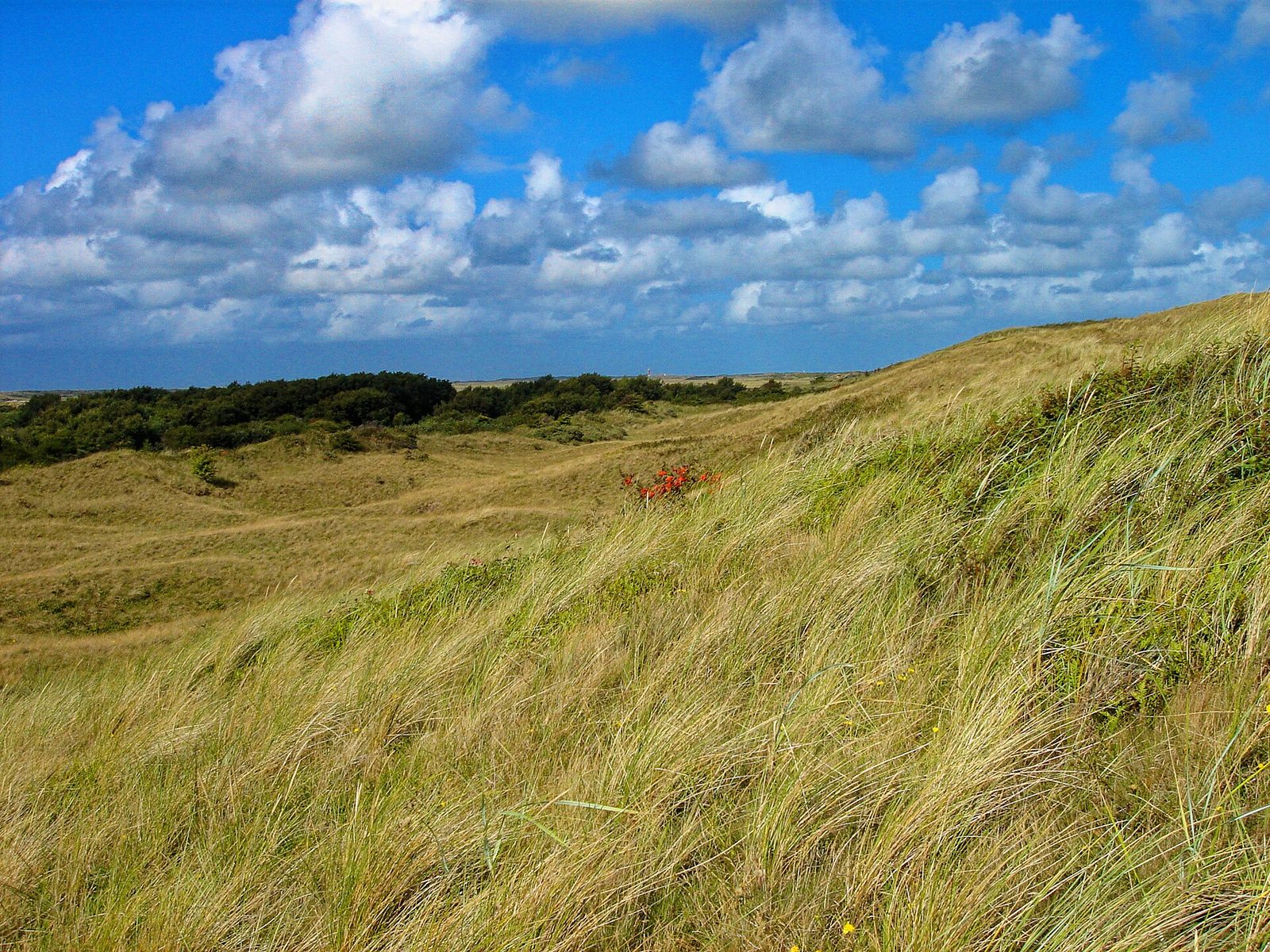 MTB-route Texel (Noord), Texel — foto 1