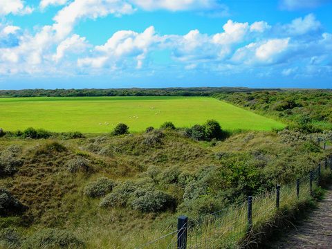 MTB-route Texel (Noord), Texel — foto 3