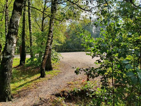 MTB-route Boskamp, Overijssel — foto 3