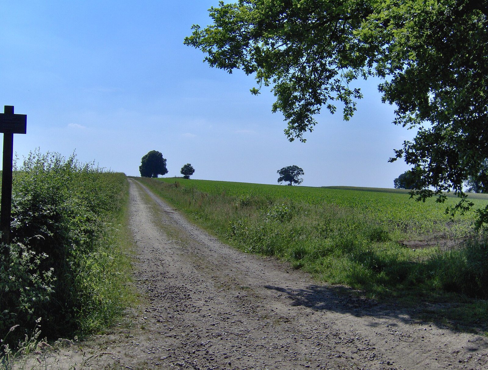 MTB-route Delden, Twente — foto 1