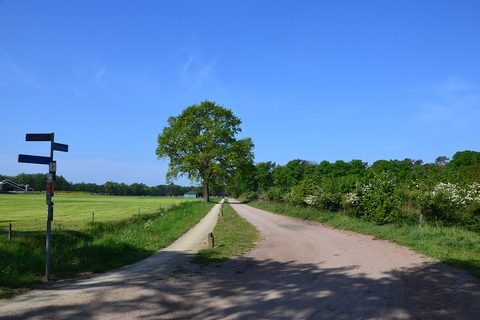 MTB-route Delden, Twente — foto 2