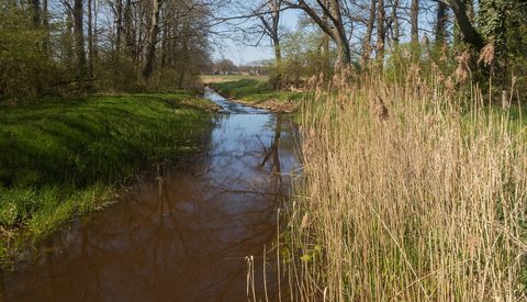 MTB-route Delden, Twente — foto 3