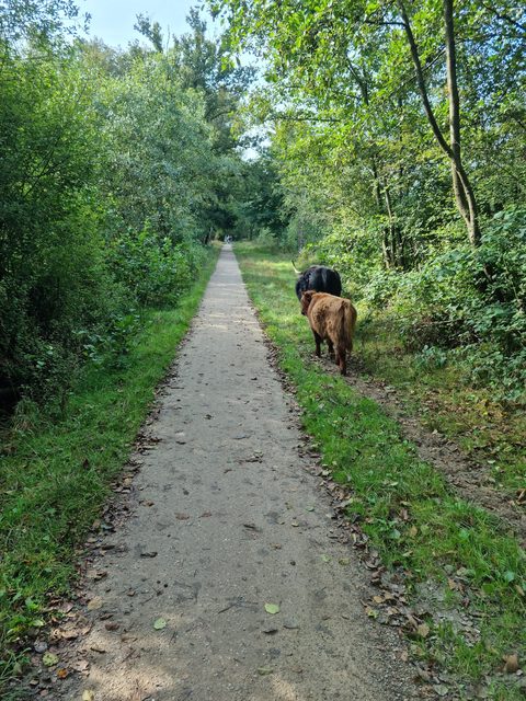MTB-route Haaksbergen, Twente — foto 4