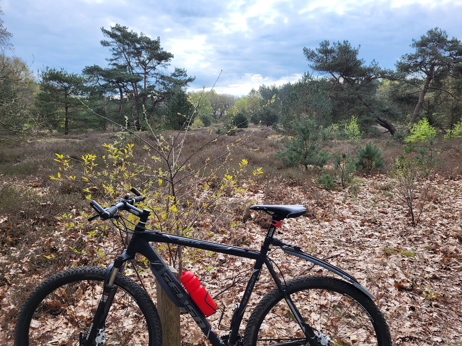 MTB-route Hardenberg, Overijssel — foto 1