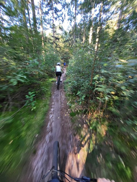 MTB-route Hardenberg, Overijssel — foto 2
