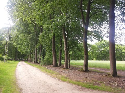 Foto van de route Hellendoorn