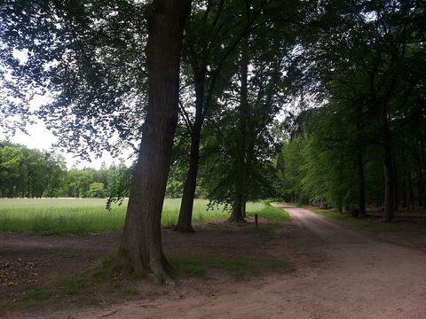 MTB-route Hellendoorn, Sallandse Heuvelrug — foto 2