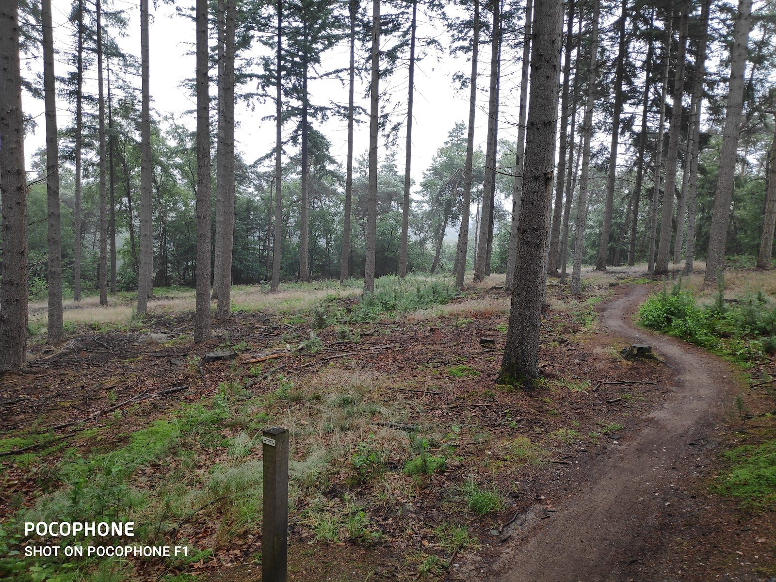 MTB-route Lemele, Overijssel — foto 1
