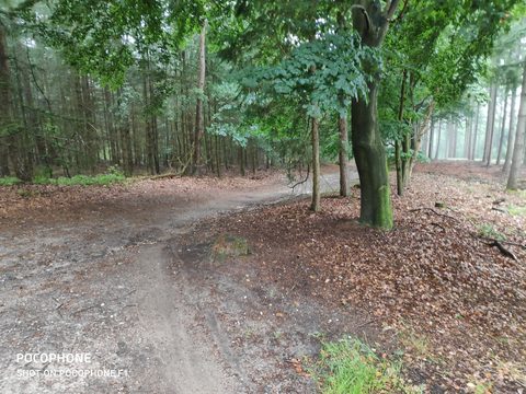 MTB-route Lemele, Overijssel — foto 2