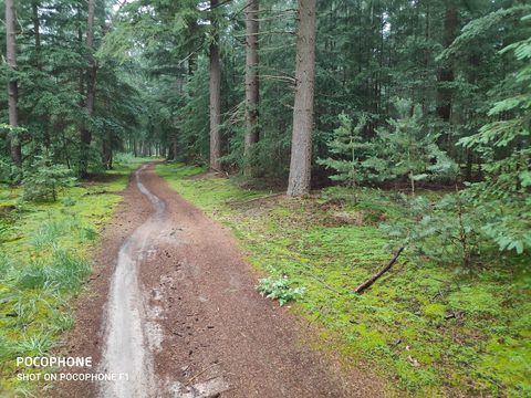MTB-route Lemele, Overijssel — foto 3