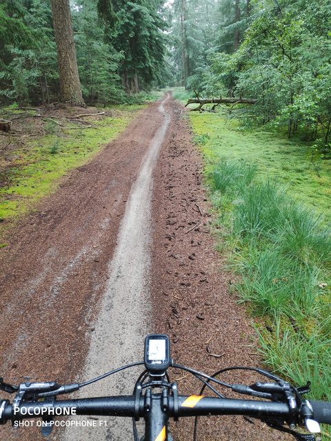 MTB-route Lemele, Overijssel — foto 4