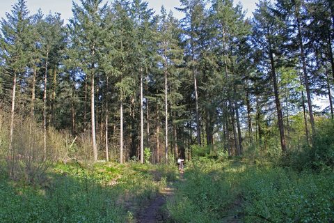 MTB-route Lonneker, Twente — foto 2