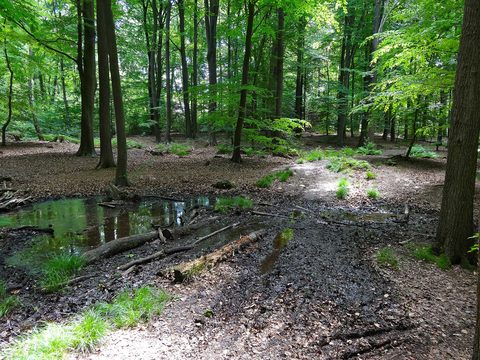 MTB-route Lonneker, Twente — foto 3