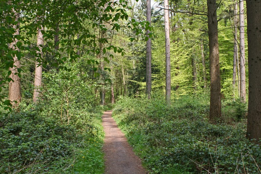 MTB-route Losser, Twente — foto 1