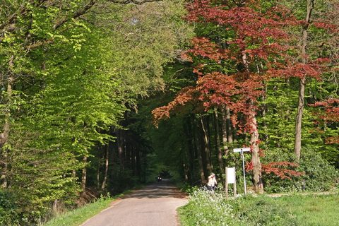 MTB-route Losser, Twente — foto 2