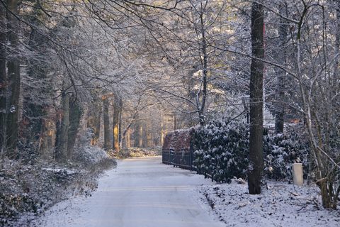 MTB-route Losser, Twente — foto 4