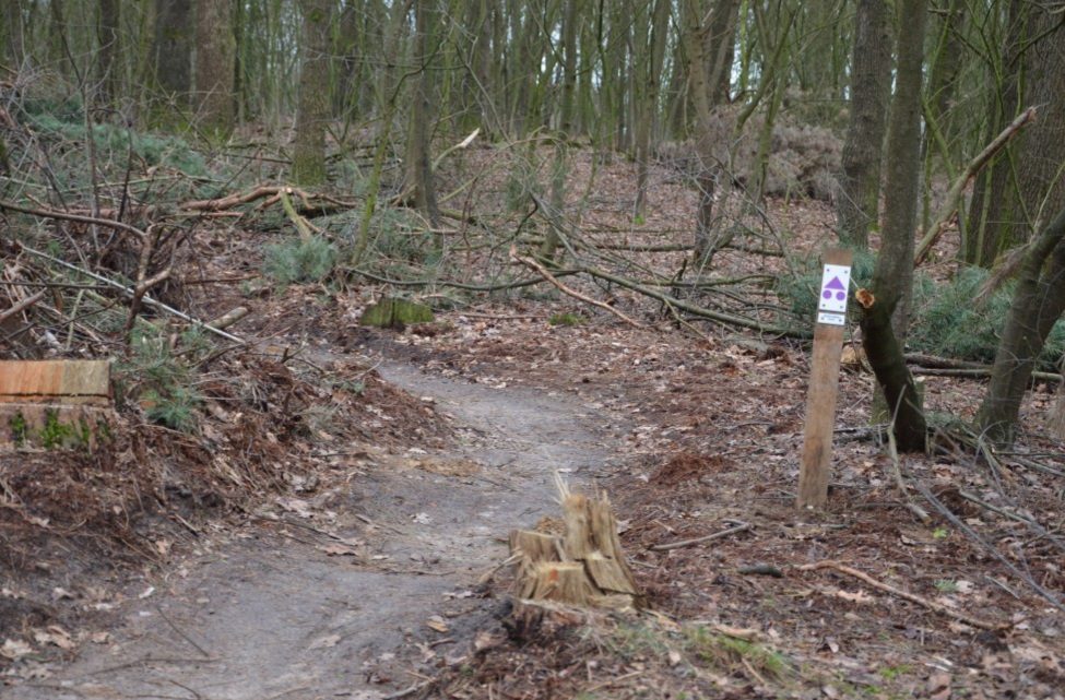 MTB-route Markelo, Twente — foto 1