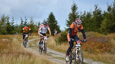 MTB-route Markelo, Twente — foto 2
