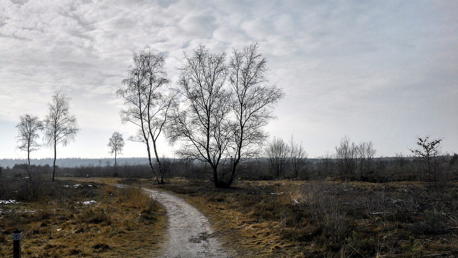 MTB-route Nijverdal, Sallandse Heuvelrug — foto 1