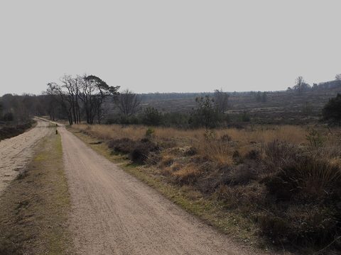 MTB-route Nijverdal, Sallandse Heuvelrug — foto 2