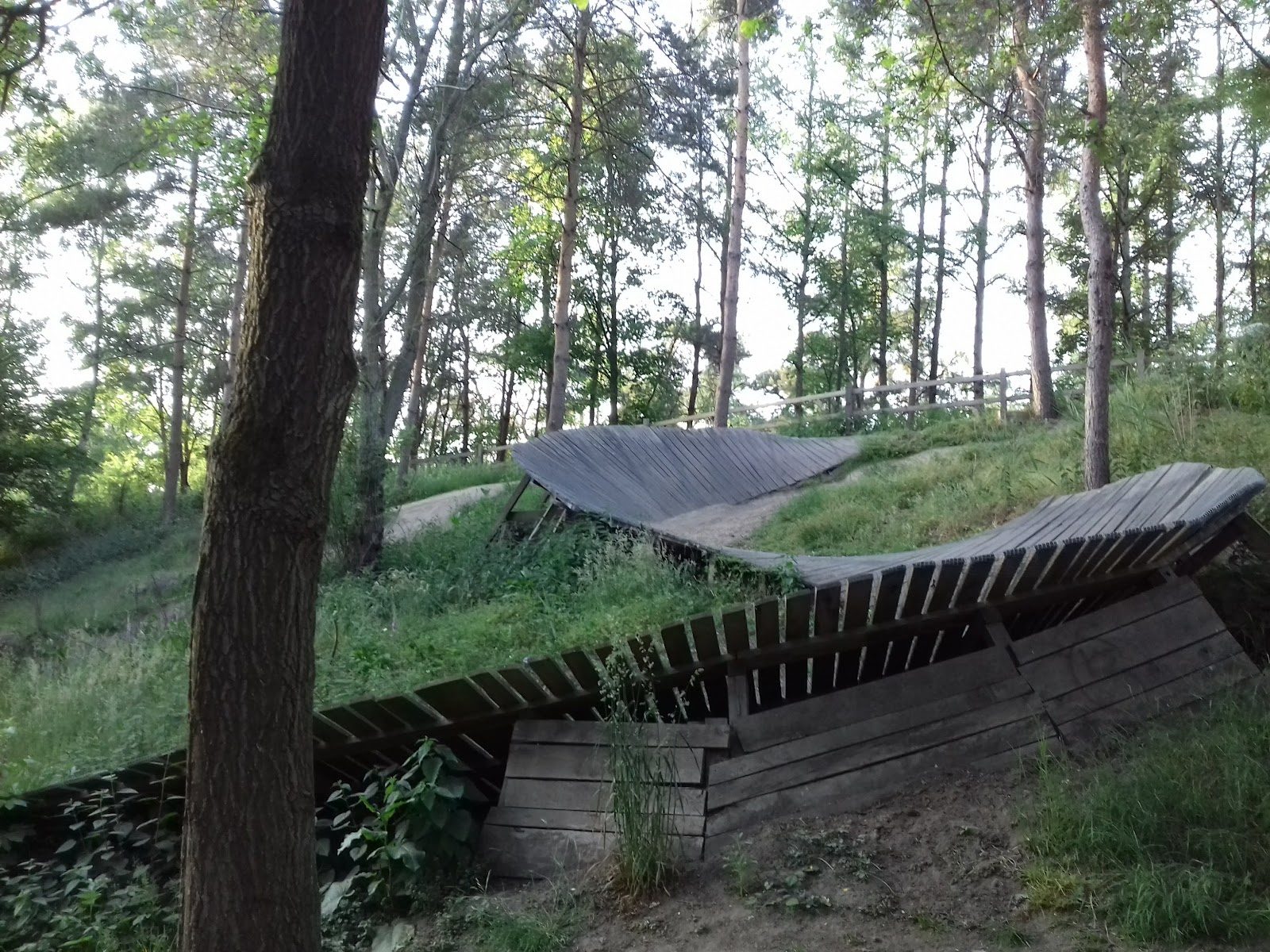 MTB-route Oldenzaal, Twente — foto 1
