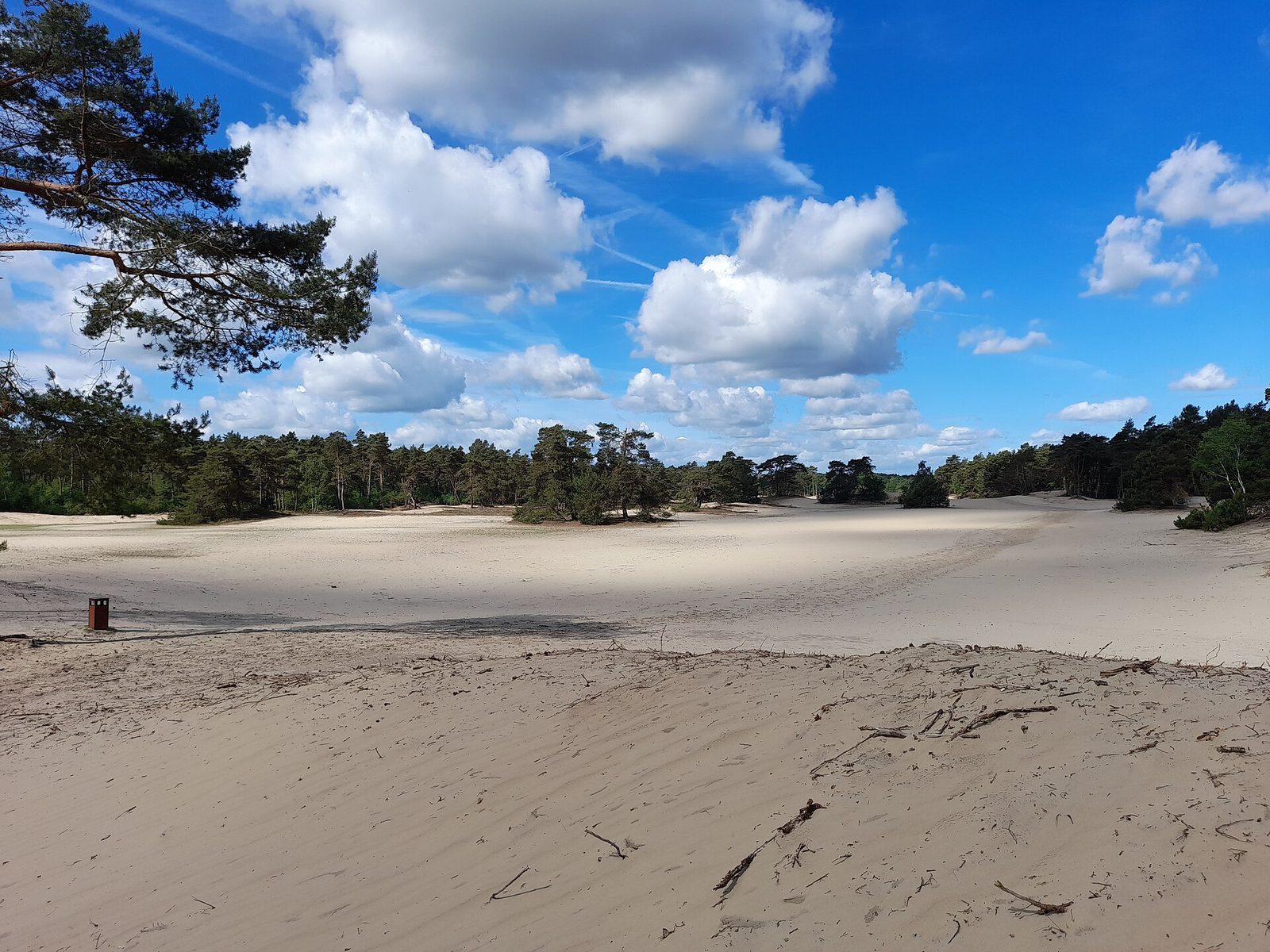 MTB-route Ommen, Overijssel — foto 1