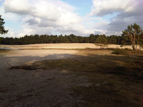MTB-route Ommen, Overijssel — foto 2