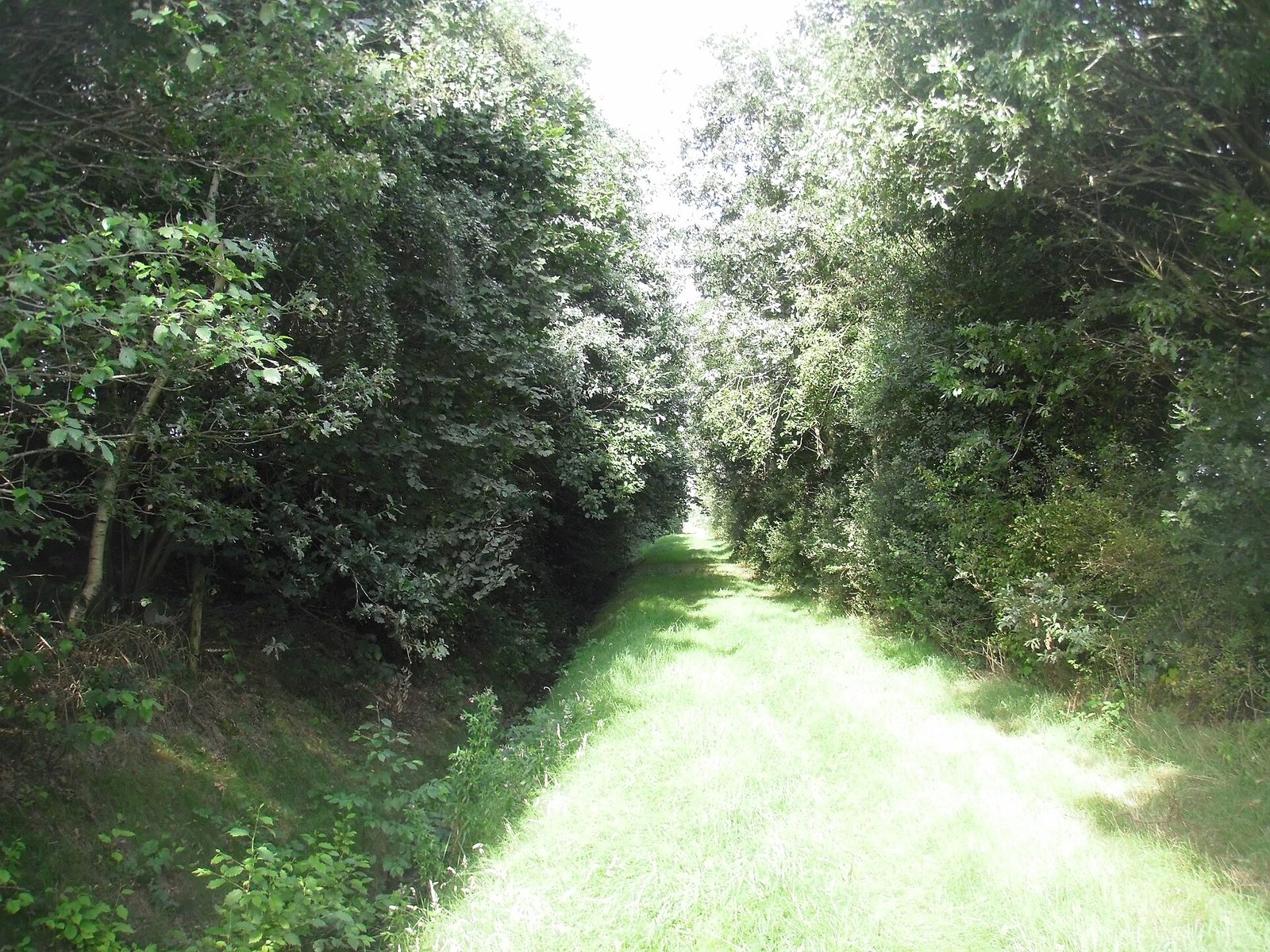 MTB-route Steenwijk, Overijssel — foto 1